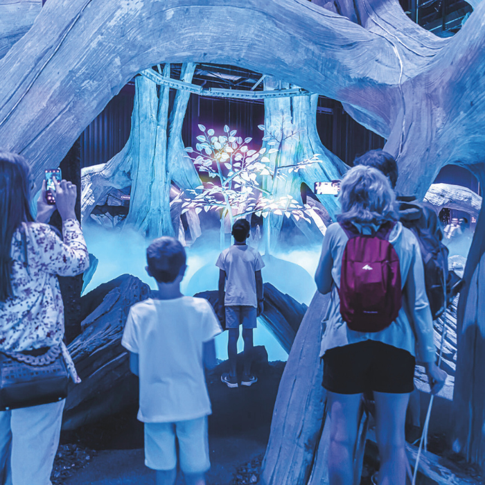 Terra Botanica format carré 1