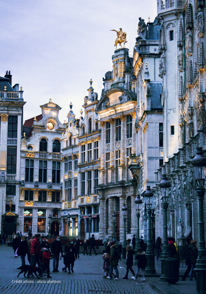 bruxelles-voyages-mauger (1)